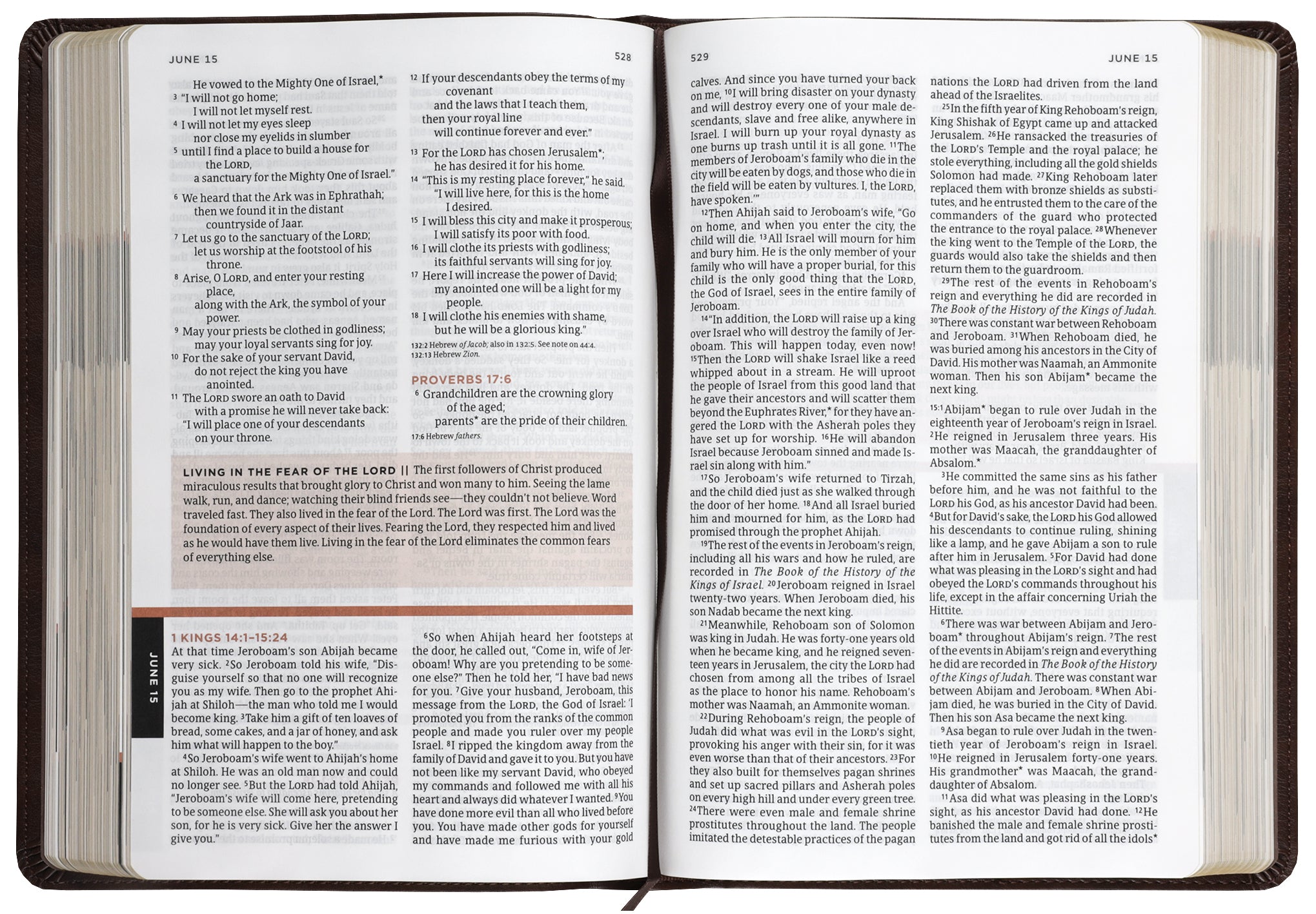 Rustic Brown One Year Devotional Bible for Men on a wooden background, emphasizing its rustic and earthy tone.