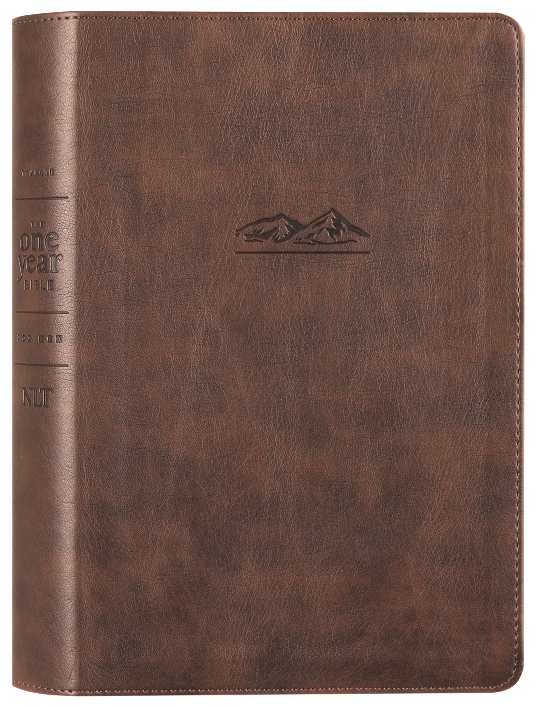 Rustic Brown One Year Devotional Bible for Men, a comprehensive daily reading guide for spiritual growth and reflection.