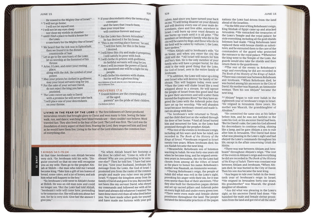 The One Year Bible for Men, rustic brown leather, a practical and meaningful Bible for men to stay connected with their faith