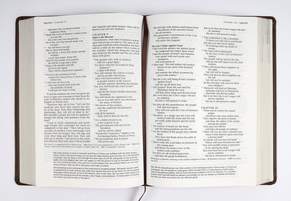 NLT Life Recovery Bible Second Edition, rustic brown leather bound Bible, Christian faith reference.