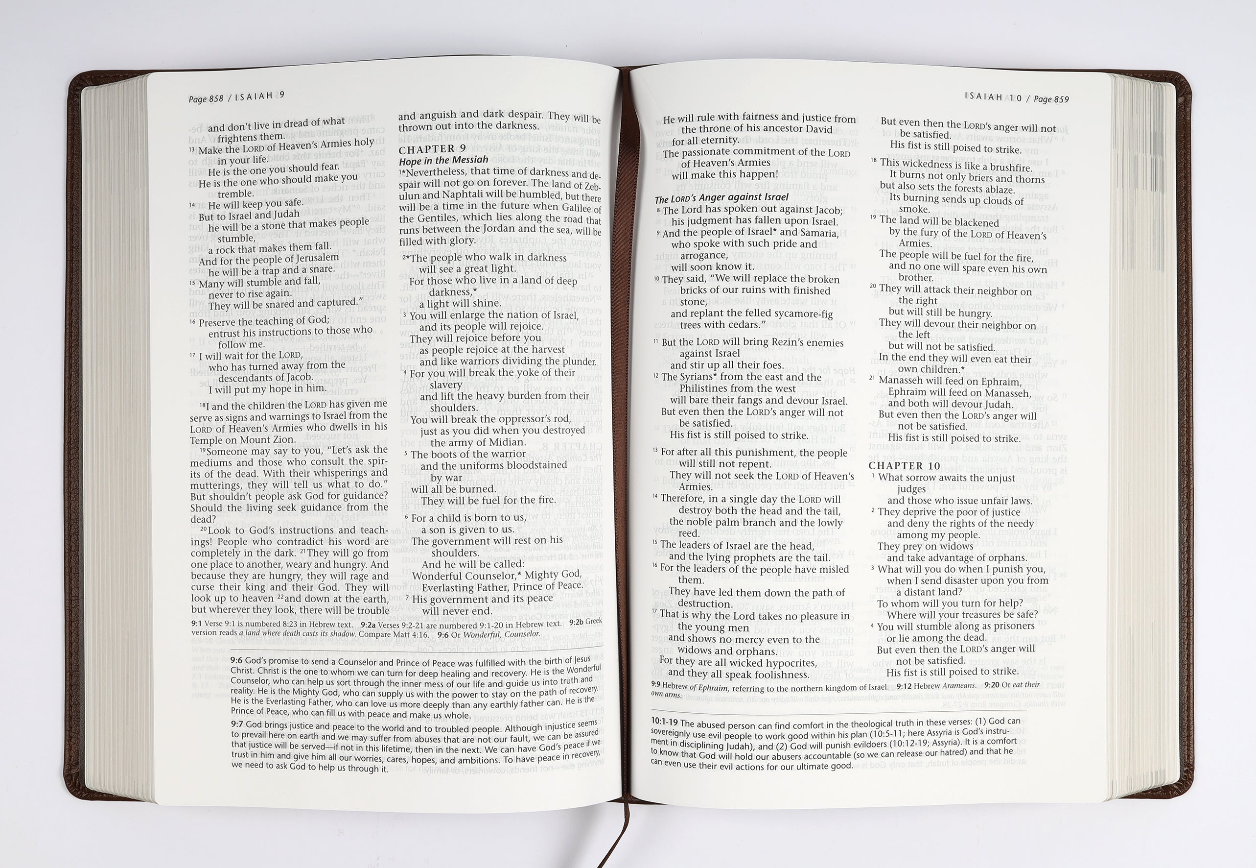NLT Life Recovery Bible Second Edition, rustic brown leather bound Bible, Christian faith reference.