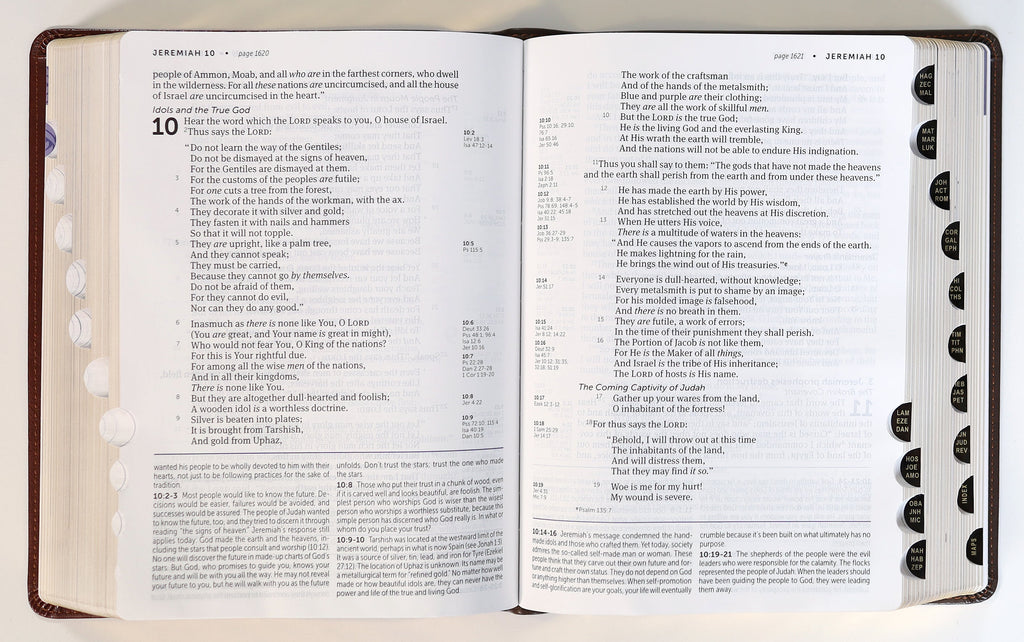 NKJV Life Application Study Bible 3rd Edition, Large Print Bible Back Cover with Brown/Mahogany Indexed (Red Letter Edition) 