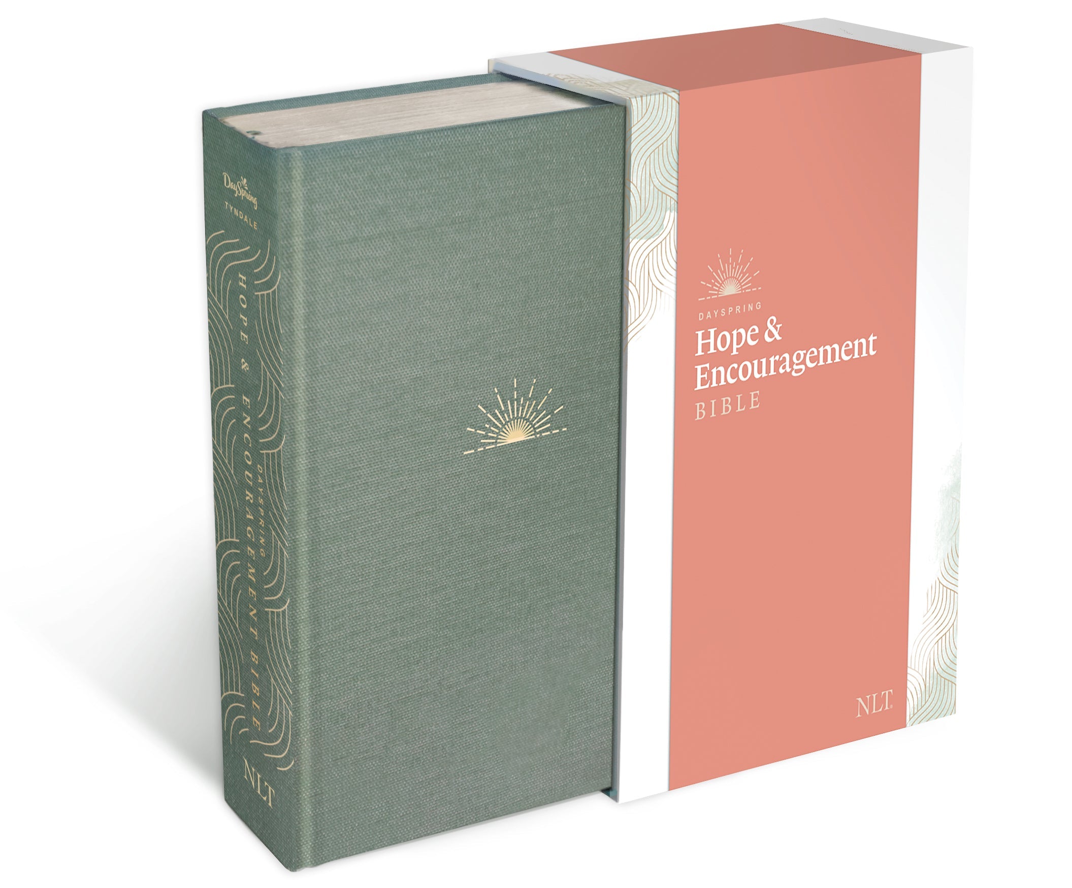 Buy the NLT Dayspring Hope & Encouragement Bible, a seafoam green edition online.