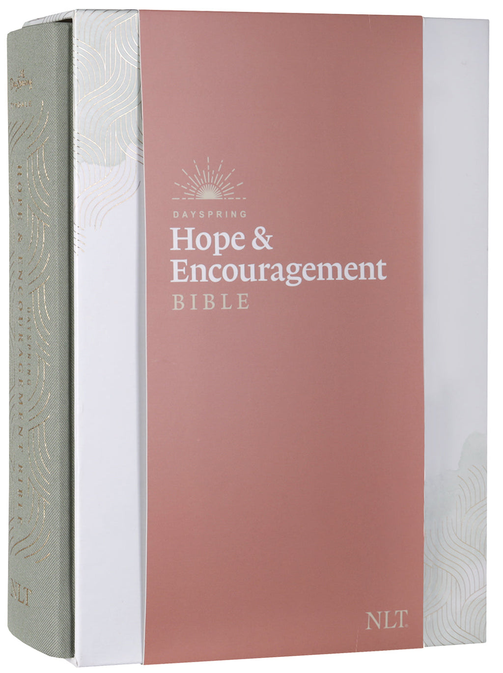 NLT Dayspring Hope & Encouragement Journaling Bible with open pages