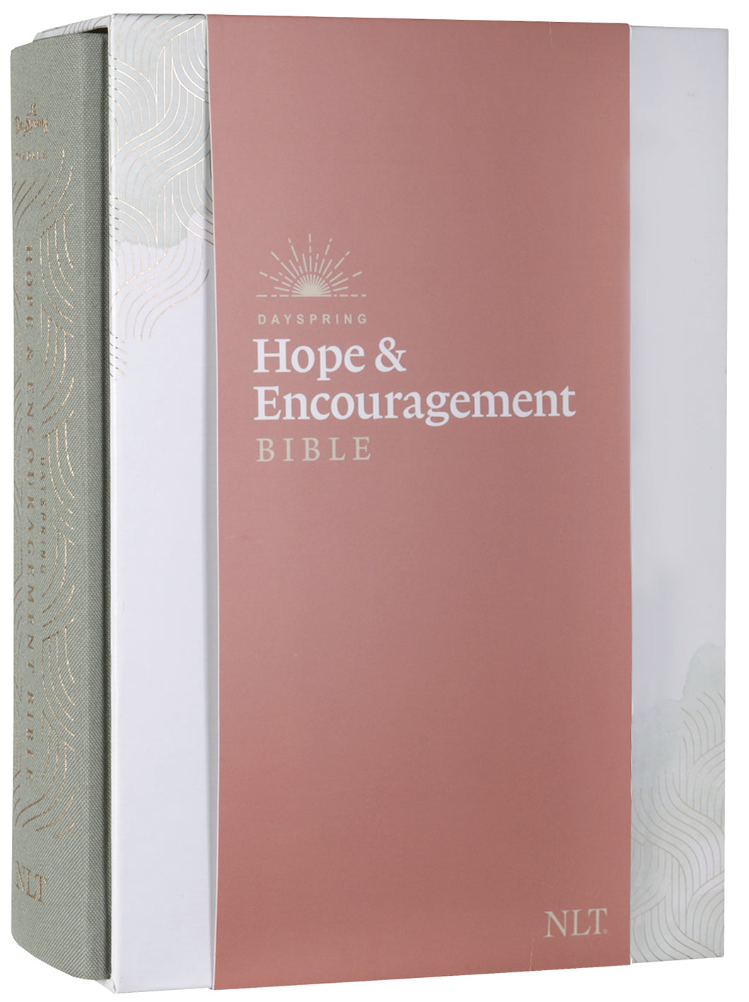 NLT Dayspring Hope & Encouragement Bible, a seafoam green bible for daily reading.