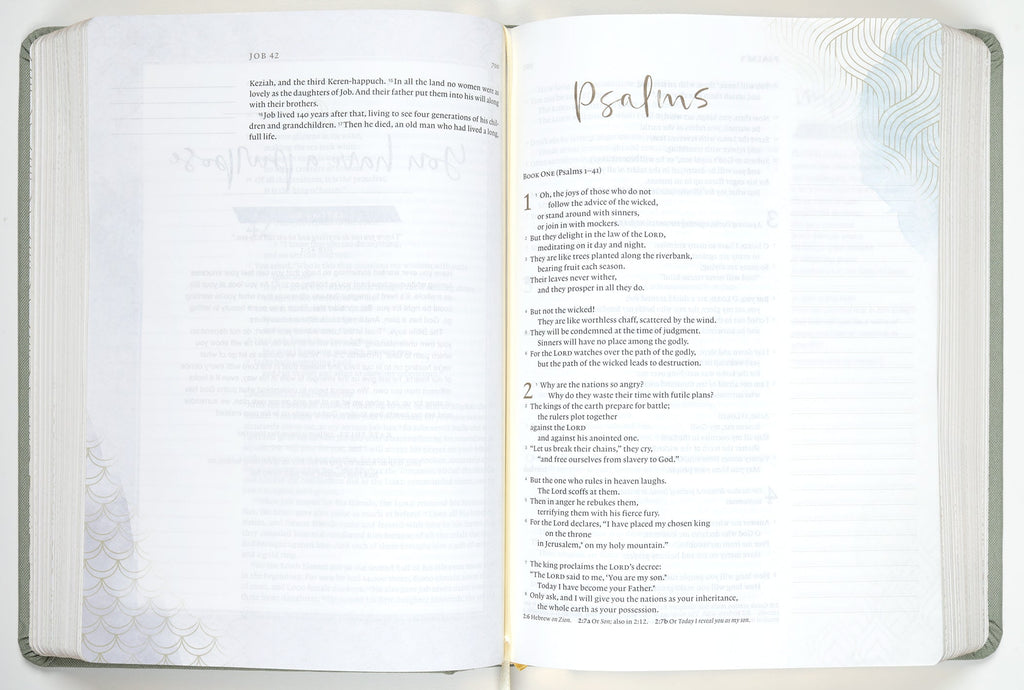 Details of NLT Dayspring Hope & Encouragement Journaling Bible pages