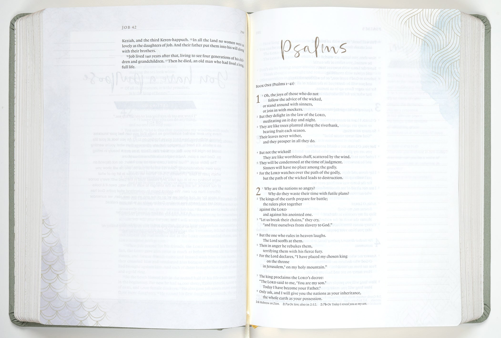 Details of NLT Dayspring Hope & Encouragement Journaling Bible pages