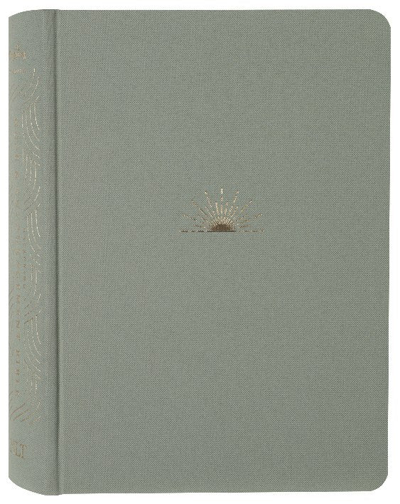 NLT Dayspring Hope & Encouragement Journaling Bible Seafoam Green Bible Cover