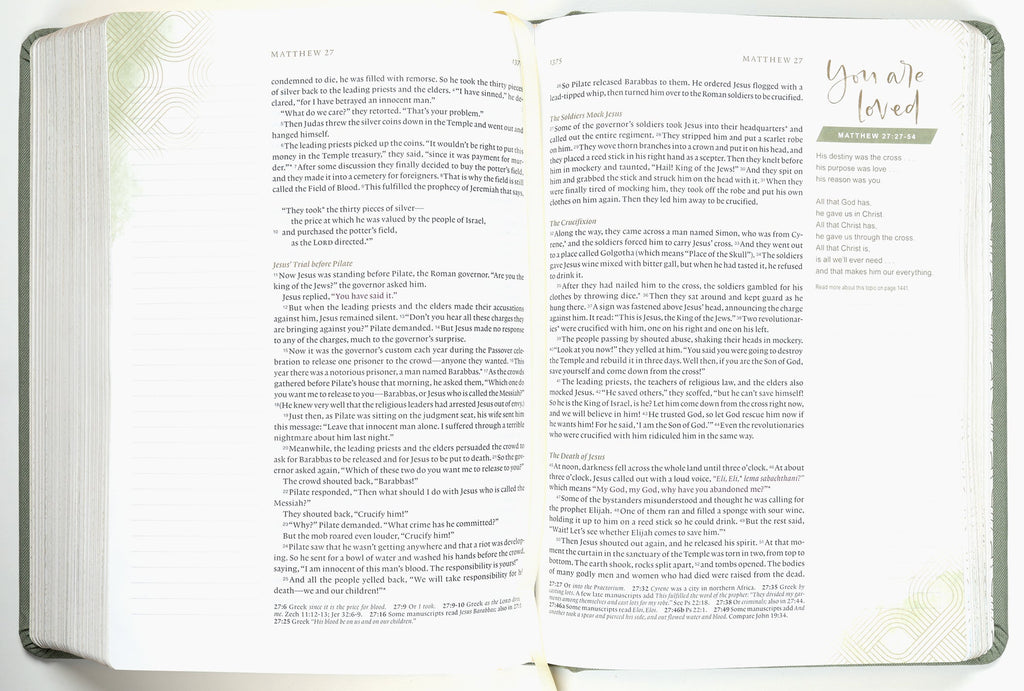 NLT Dayspring Hope & Encouragement Journaling Bible interior design