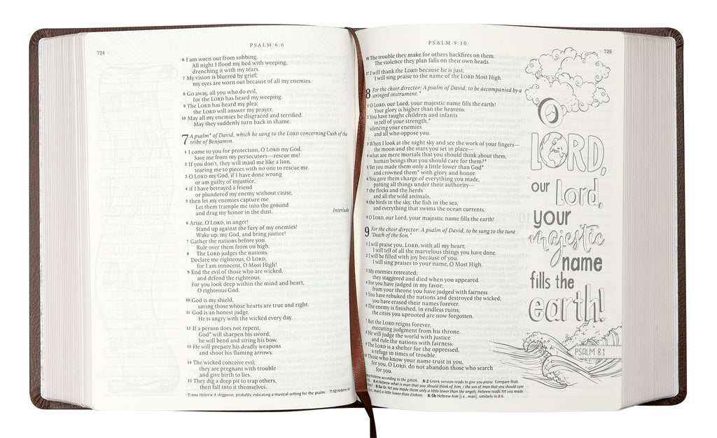 NLT Inspire Catholic Bible in dark brown leather bound for personal reflection and study