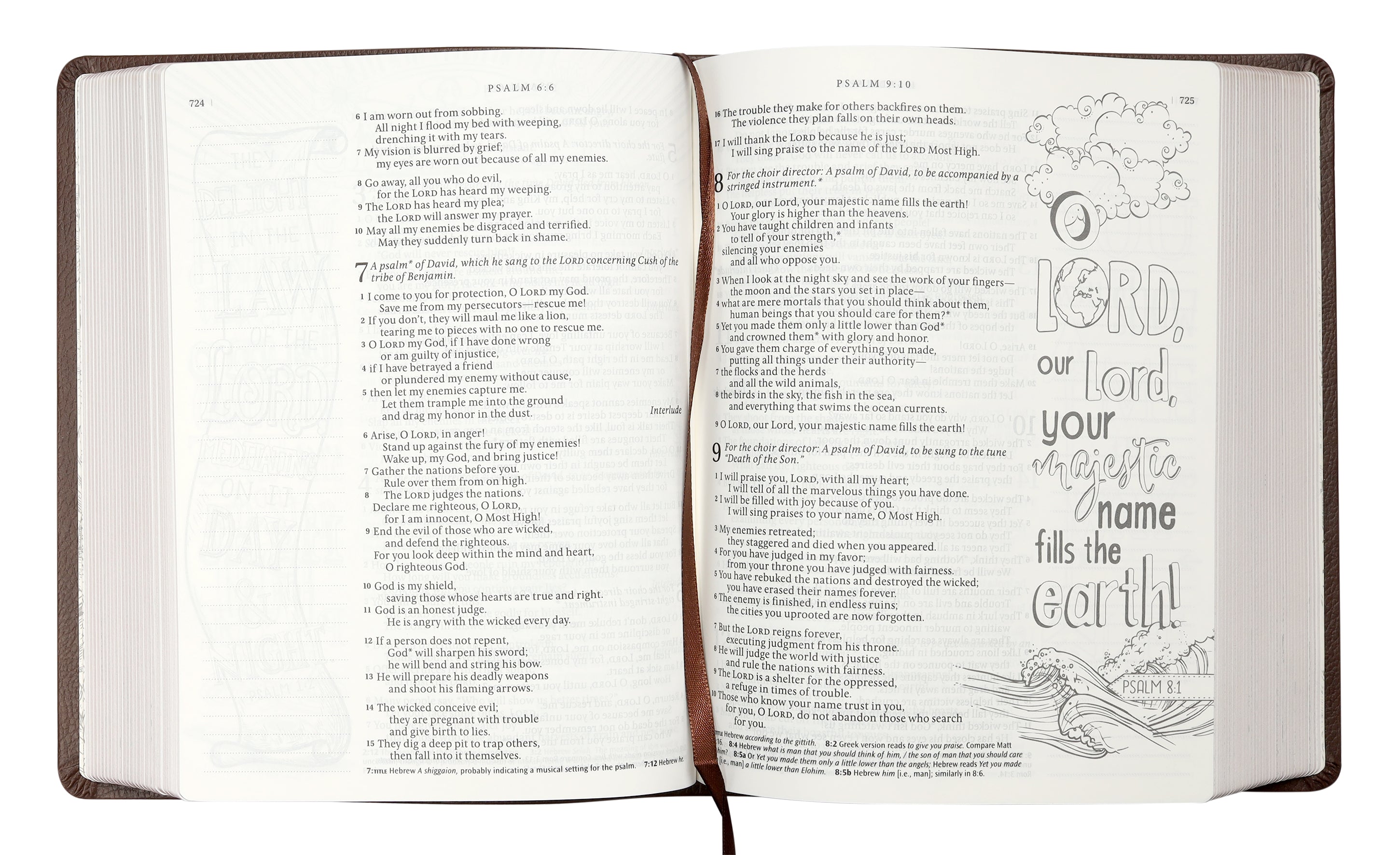 NLT Inspire Catholic Bible in dark brown leather bound for personal reflection and study