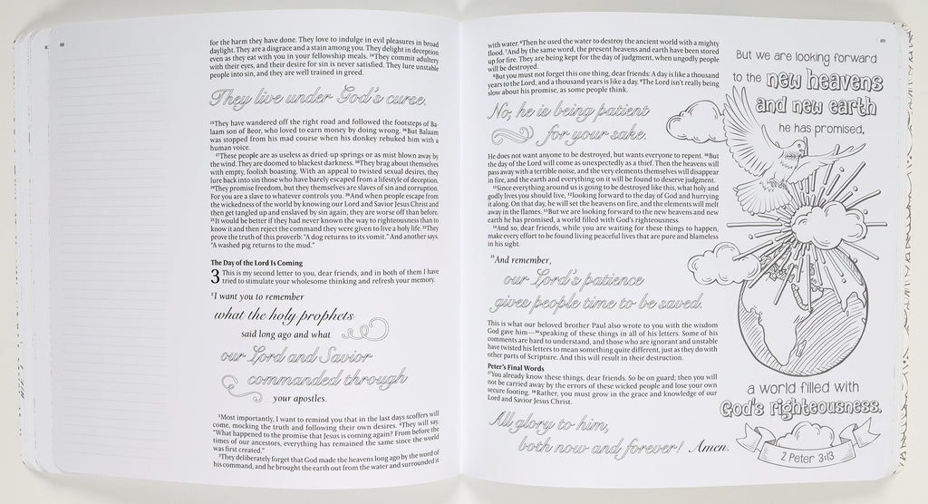 Inspire Bible, creative studying and journaling, NLT New Living Translation