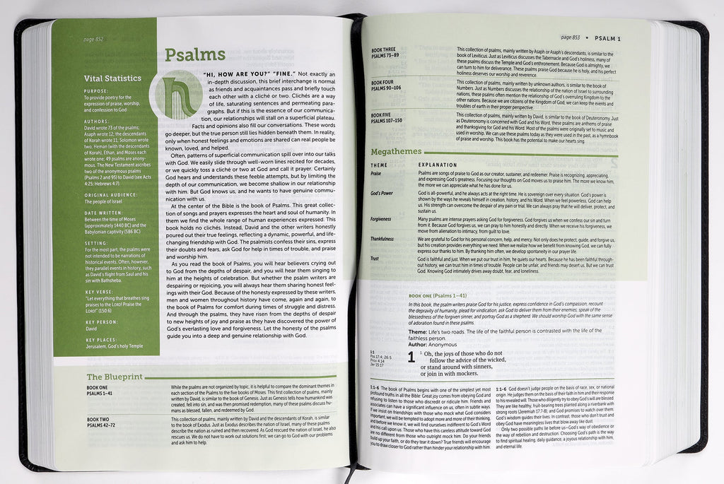 NLT Life Application Study Bible Black/Onyx (Red Letter Edition) (3rd Edition)