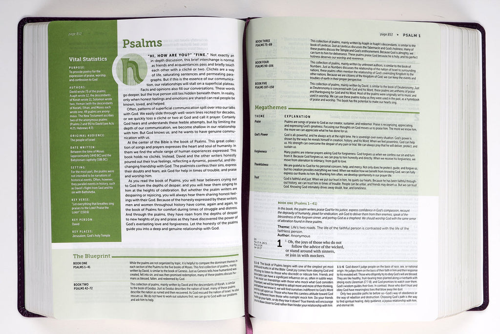 NLT Life Application Study Bible, Purple Red Letter Edition, 3rd Edition