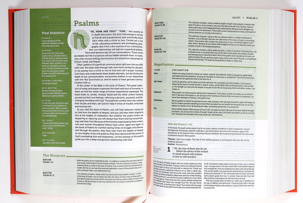 NLT Life Application Study Bible, 3rd Edition, Study Bible for Christians, Coral, Red Letter