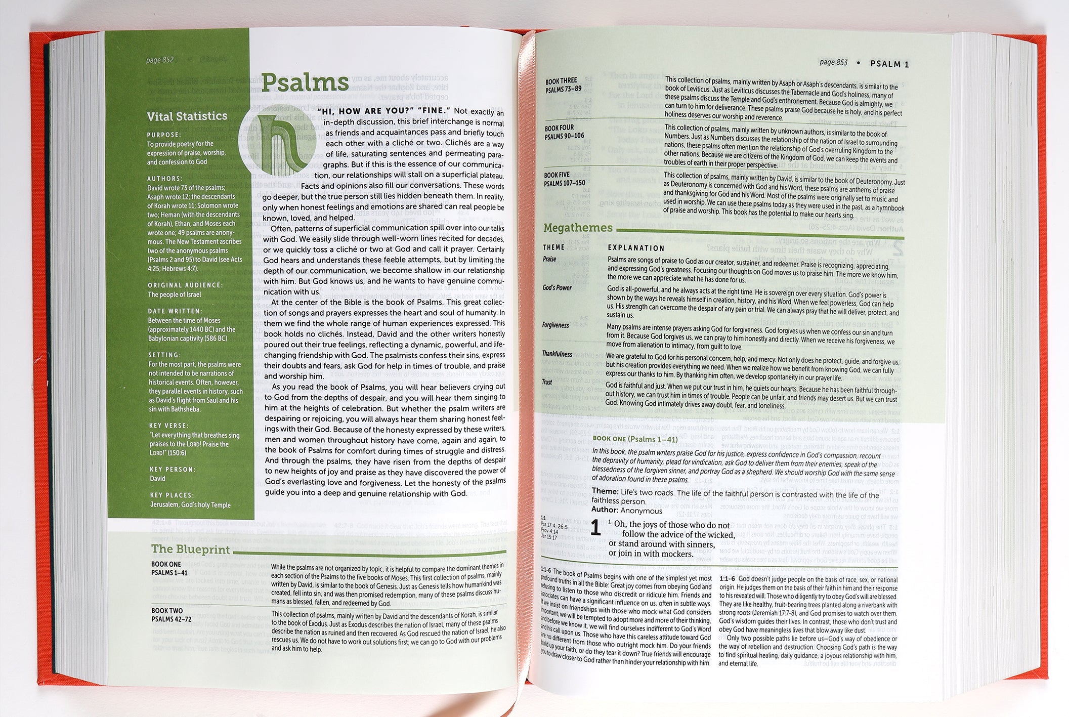 NLT Life Application Study Bible, 3rd Edition, Study Bible for Christians, Coral, Red Letter