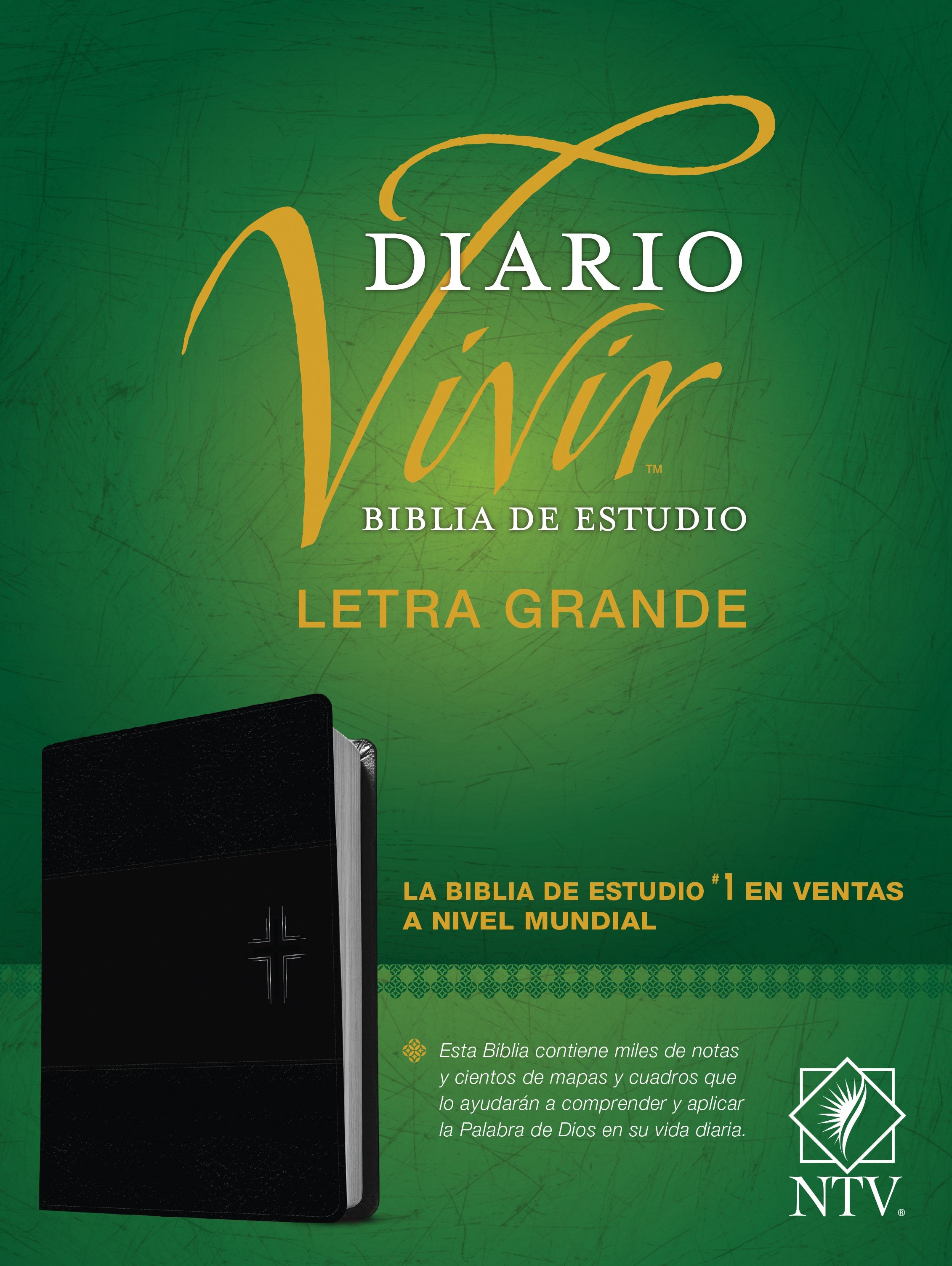 NVI Spanish Study Bible Red Letter Edition