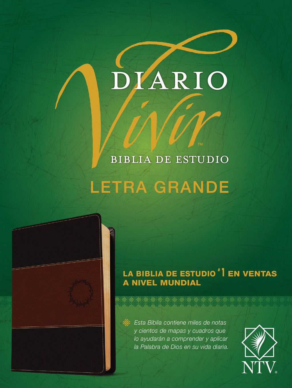 Spanish Study Bible, Red Letter Edition, with Brown leather-look cover