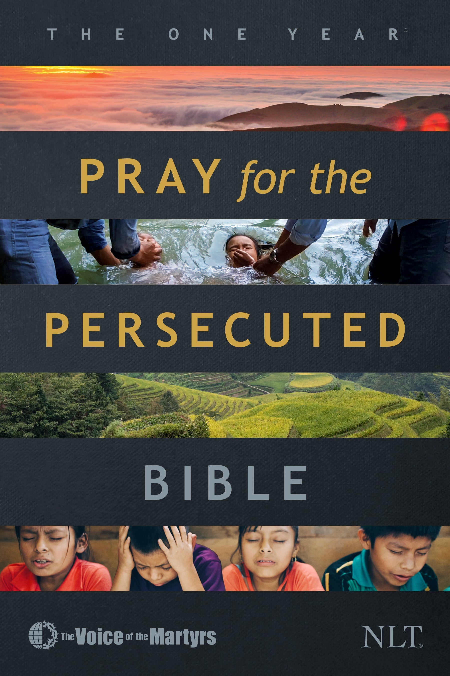 The NLT One Year Devotional Bible features Voice of the Martyrs daily readings