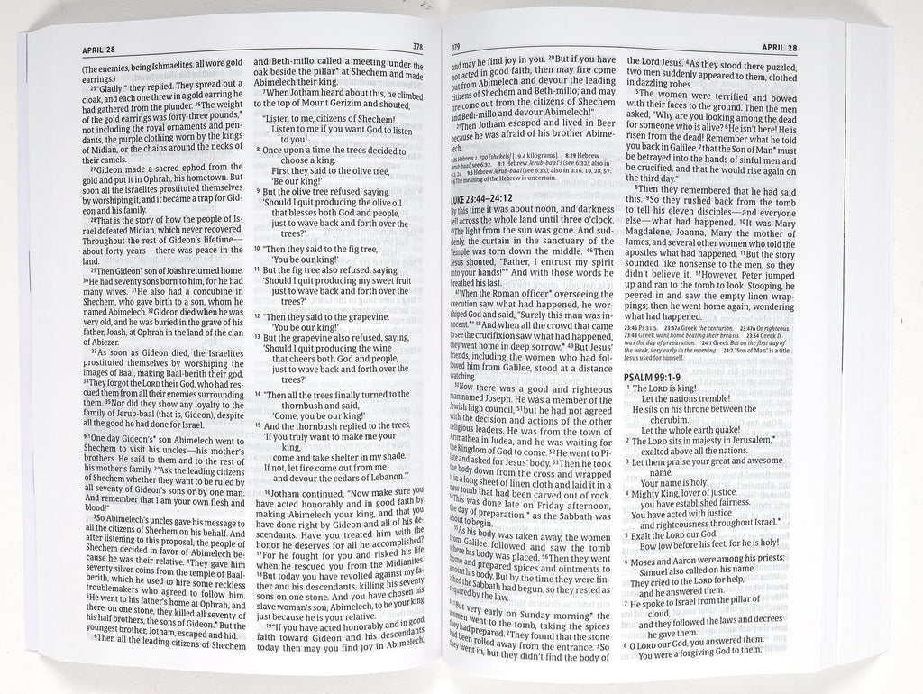 New Living Translation one year pray for the persecuted Bible with Voice of the Martyrs