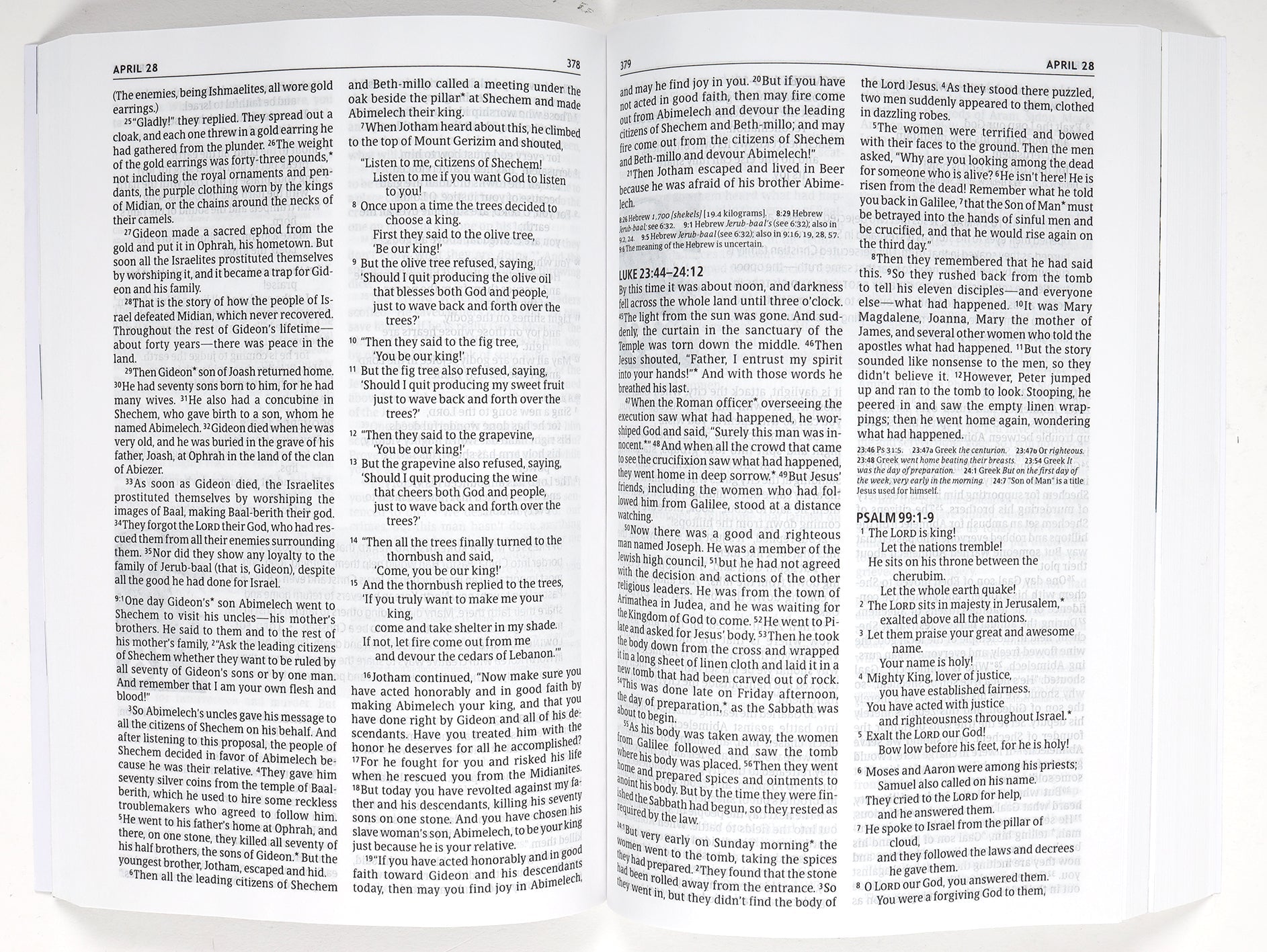 New Living Translation one year pray for the persecuted Bible with Voice of the Martyrs