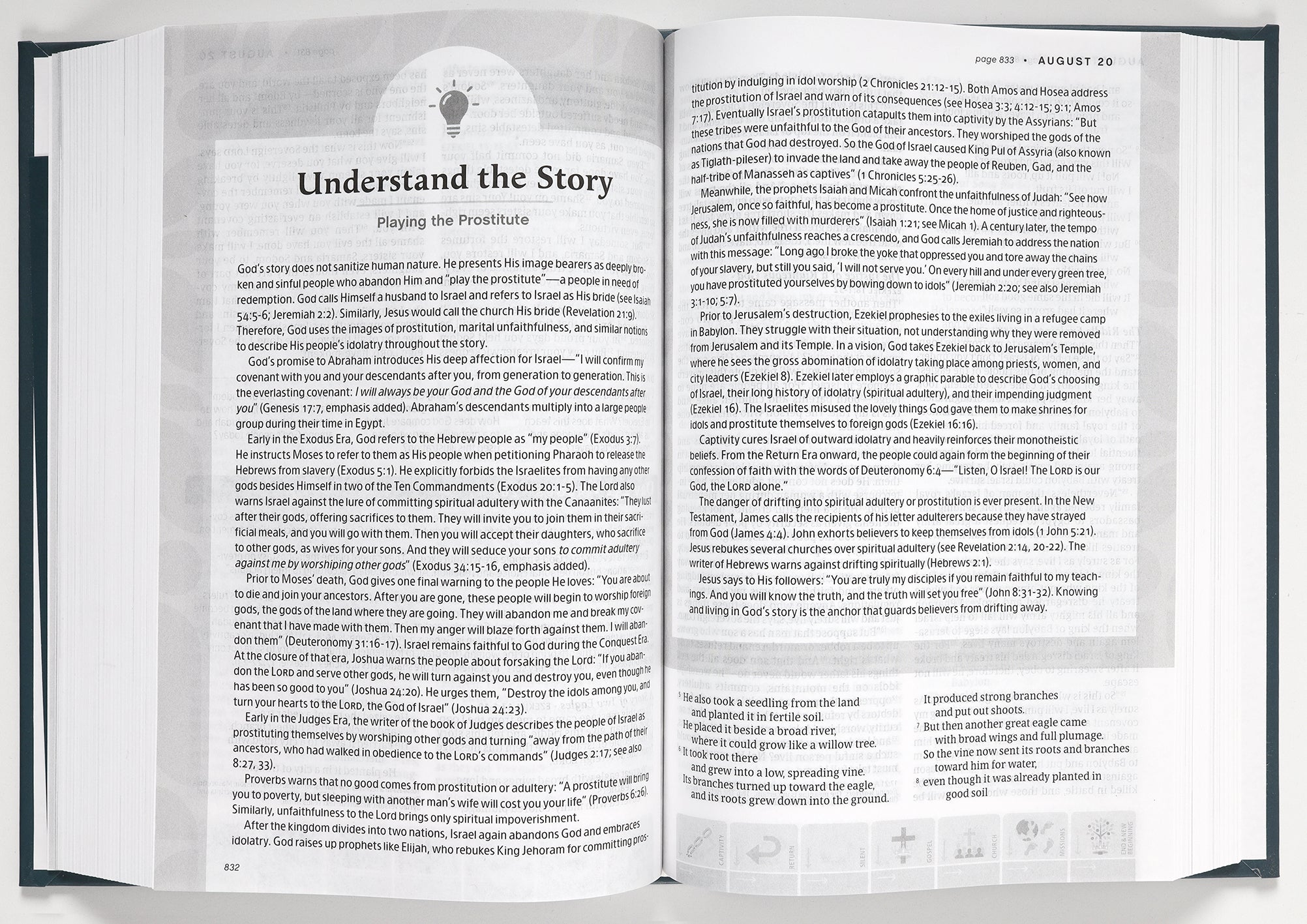 NLT One Year Chronological Study Bible features journaling margins for deeper Bible study