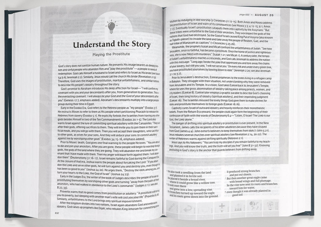 NLT One Year Chronological Study Bible