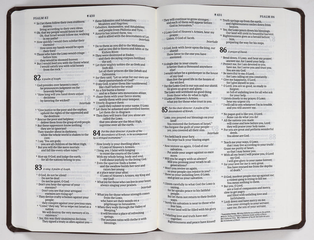 NLT Premium Value Thinline Bible Filament Enabled Edition, detail of pages, dark brown leather cover