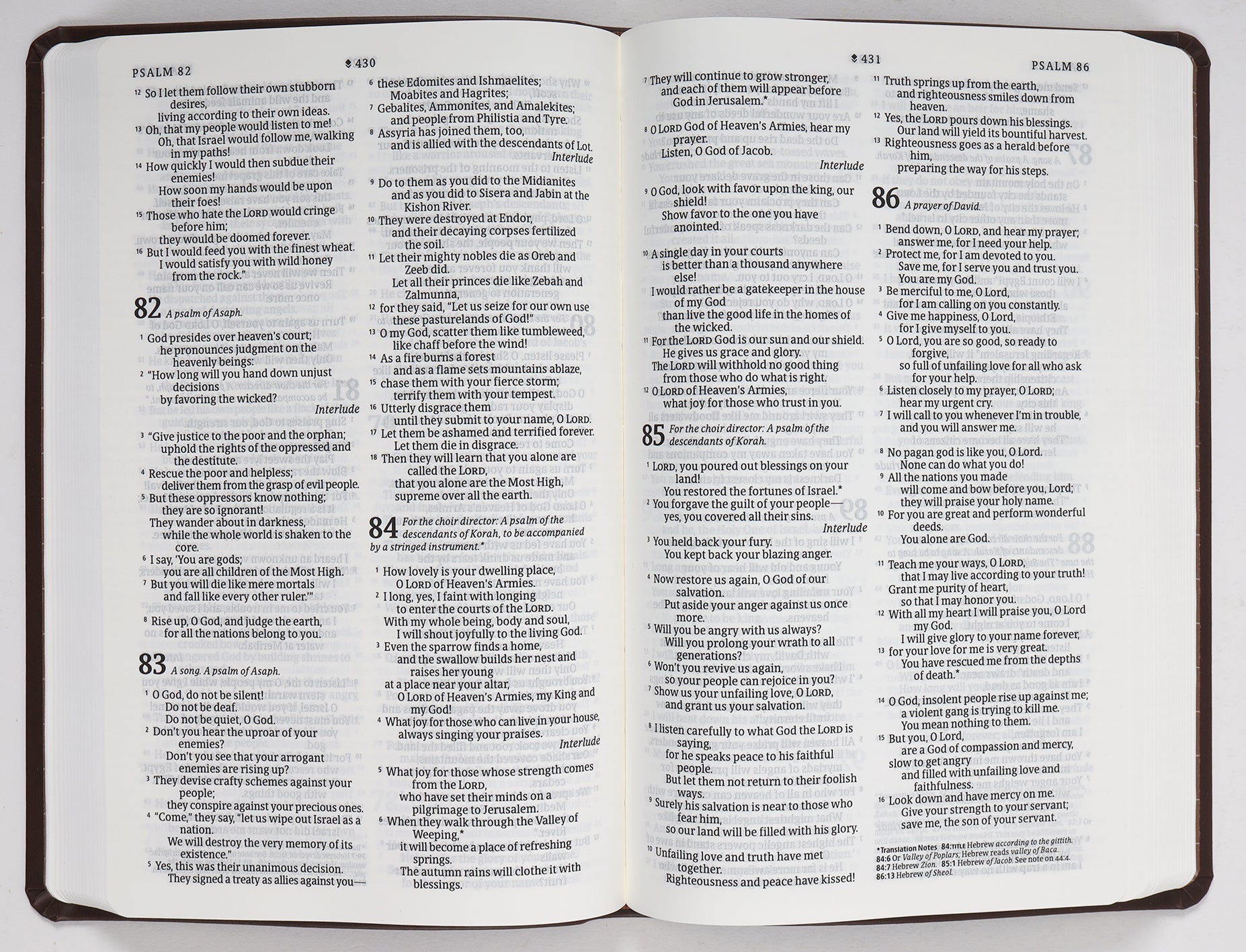 NLT Premium Value Thinline Bible Filament Enabled Edition, detail of pages, dark brown leather cover