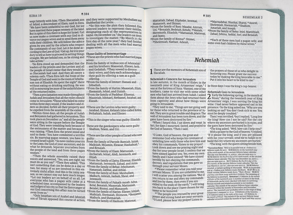 NLT Large Print Thinline Bible with Filament Enabled Eucalyptus Teal Cover