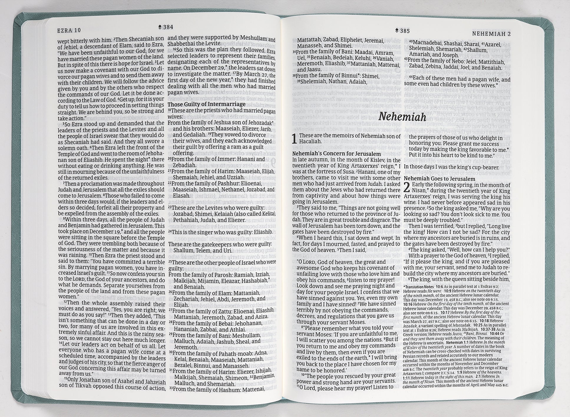 NLT Large Print Thinline Bible with Filament Enabled Eucalyptus Teal Cover