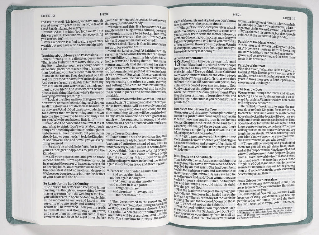 NLT Large Print Premium Value Thinline Bible Filament Enabled Edition Eucalyptus Teal