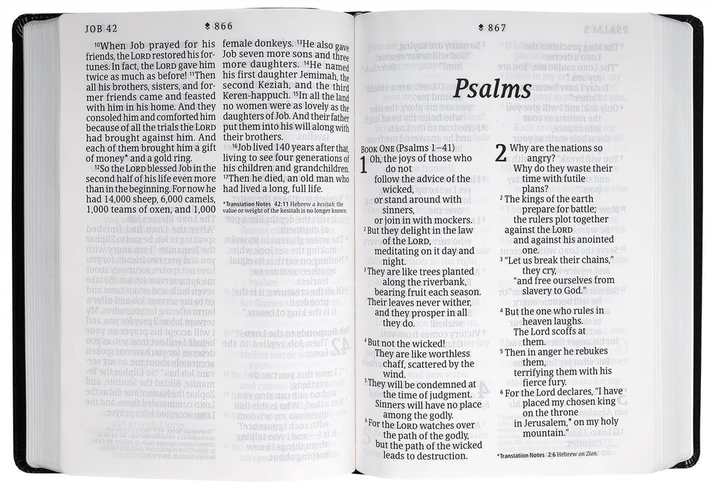 Detailed view of NLT New Living Translation Bible with Filament Enabled Edition, Super Giant Print, Peony Rich Teal, Red Lett
