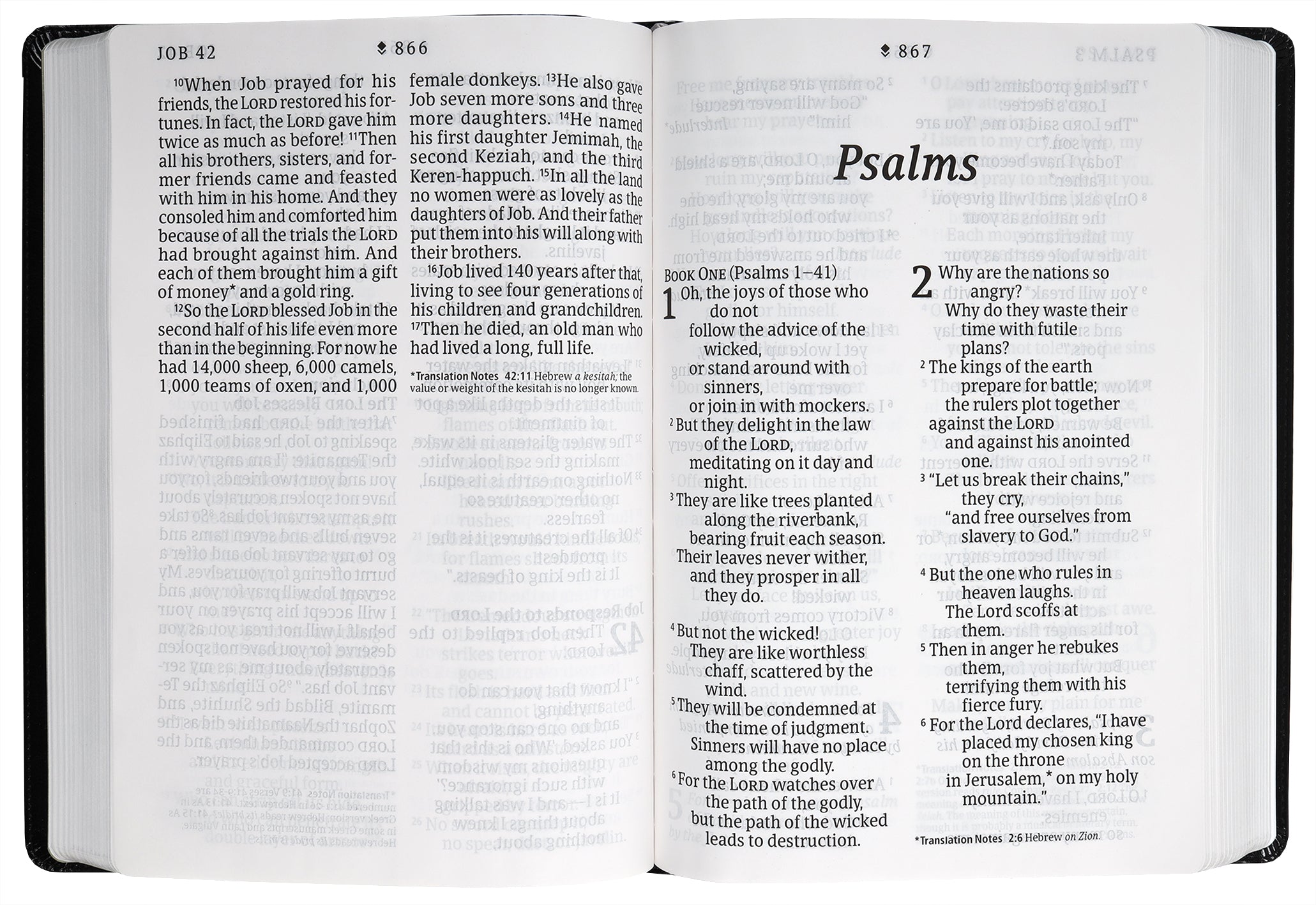 Detailed view of NLT New Living Translation Bible with Filament Enabled Edition, Super Giant Print, Peony Rich Teal, Red Lett