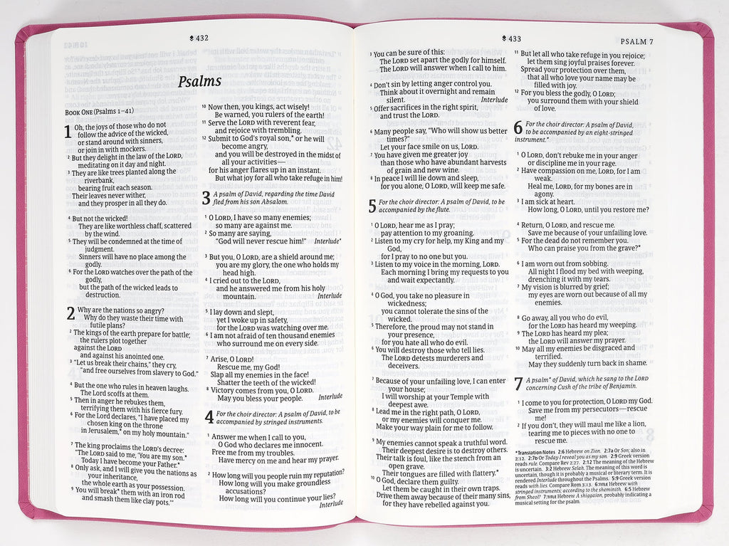 Front cover of Garden Pink Large Print NLT Bible with Filament Enabled Edition