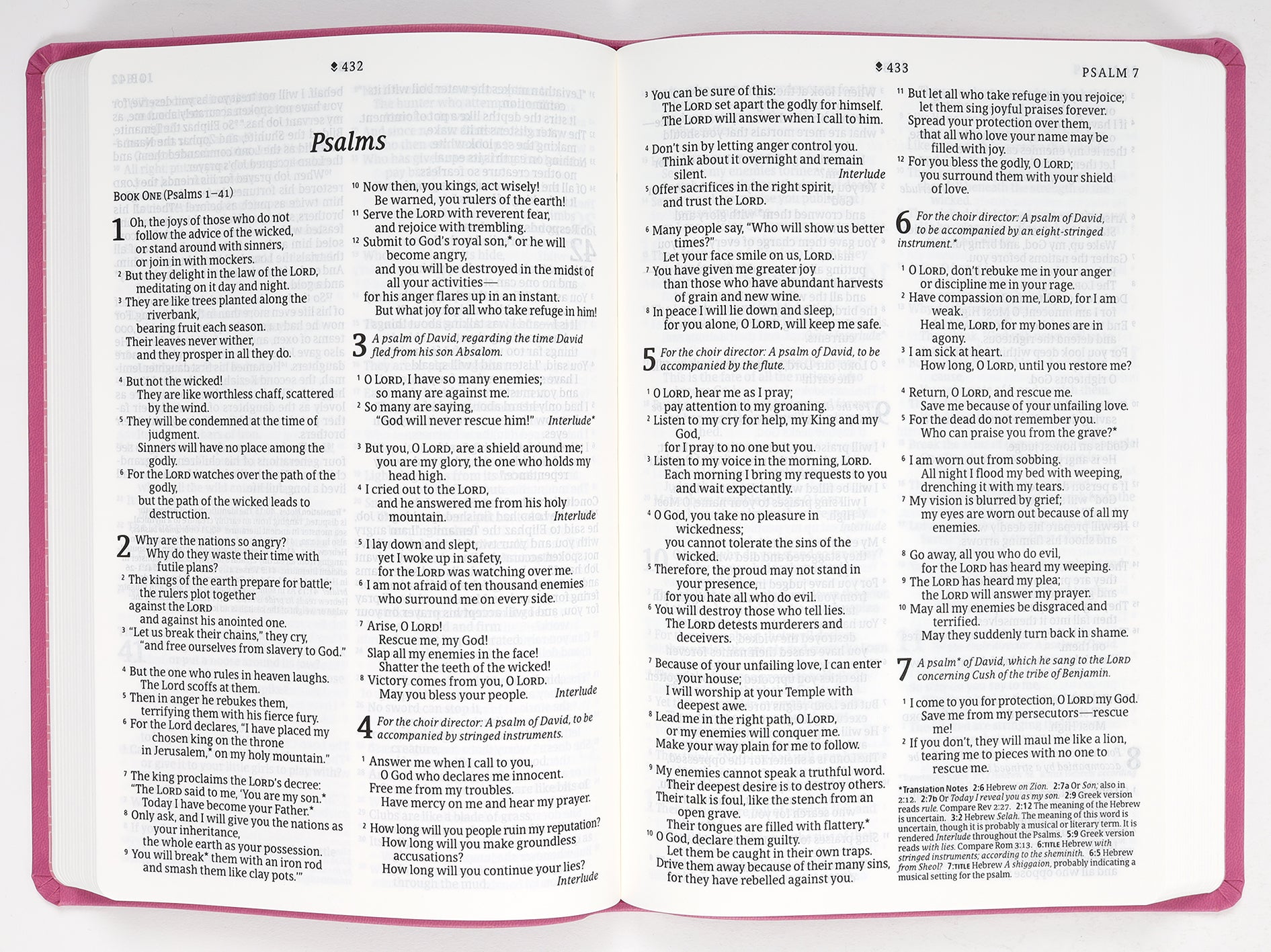 Front cover of Garden Pink Large Print NLT Bible with Filament Enabled Edition