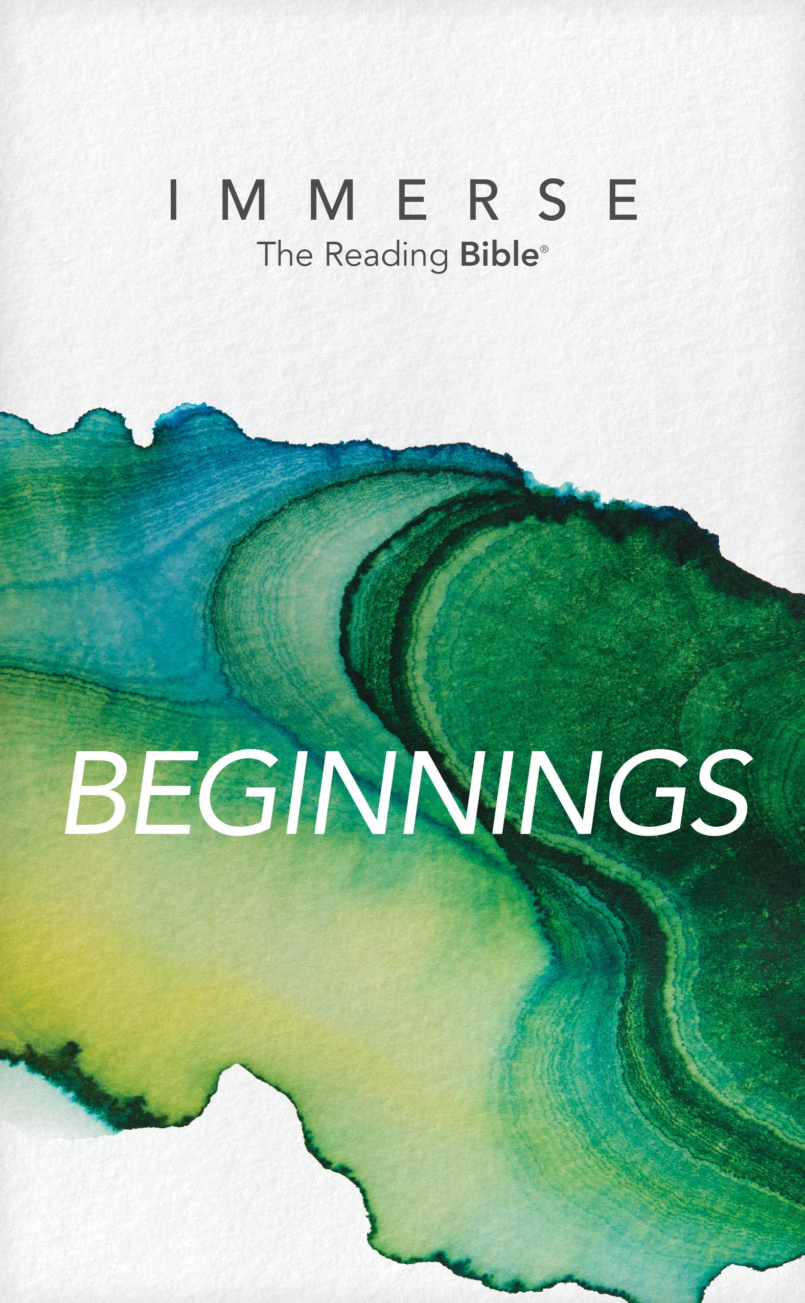 NLT Immerse Beginnings Bible, a comprehensive study Bible for spiritual growth and understanding.