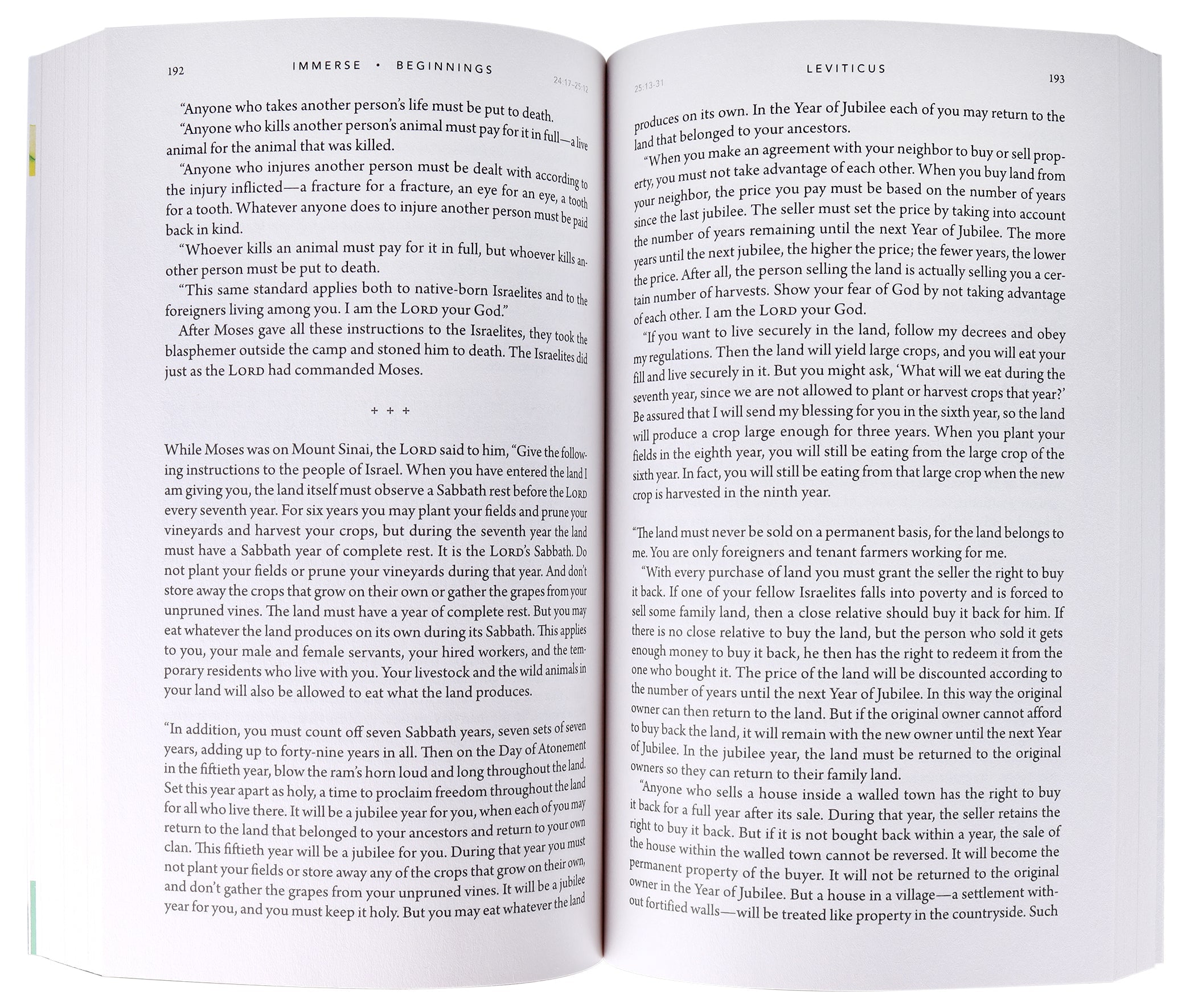 NLT Immerse Beginnings Bible, a Bible study tool for individuals seeking a deeper connection with God.