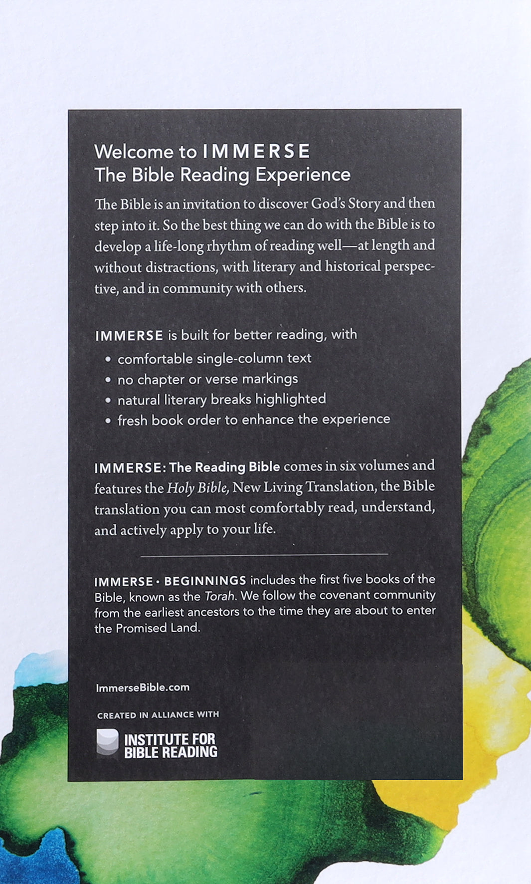 NLT Immerse Beginnings