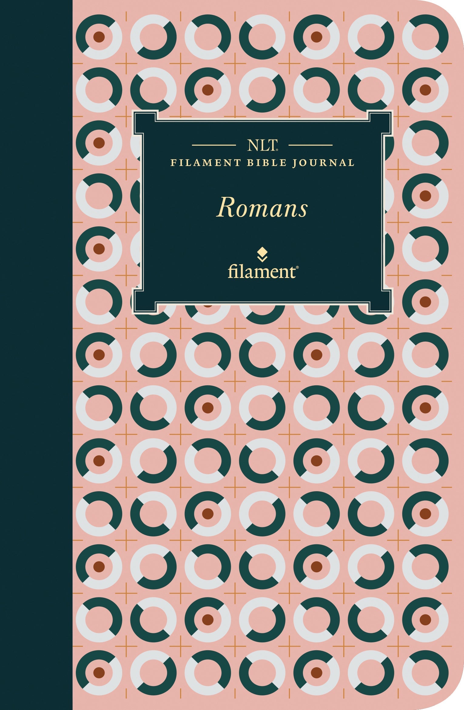 Study the NLT Filament Bible, Journal Edition with Romans, a unique reading experience combining Bible content with journal s