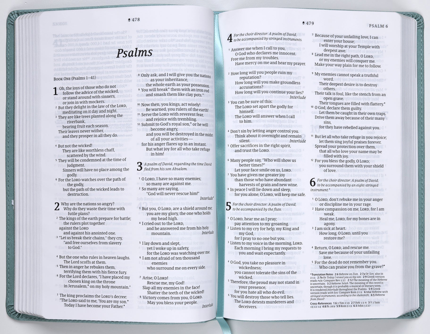 NLT Thinline Reference Bible with Filament Enabled Technology and Red Letter Edition, Floral Leaf Teal Cover
