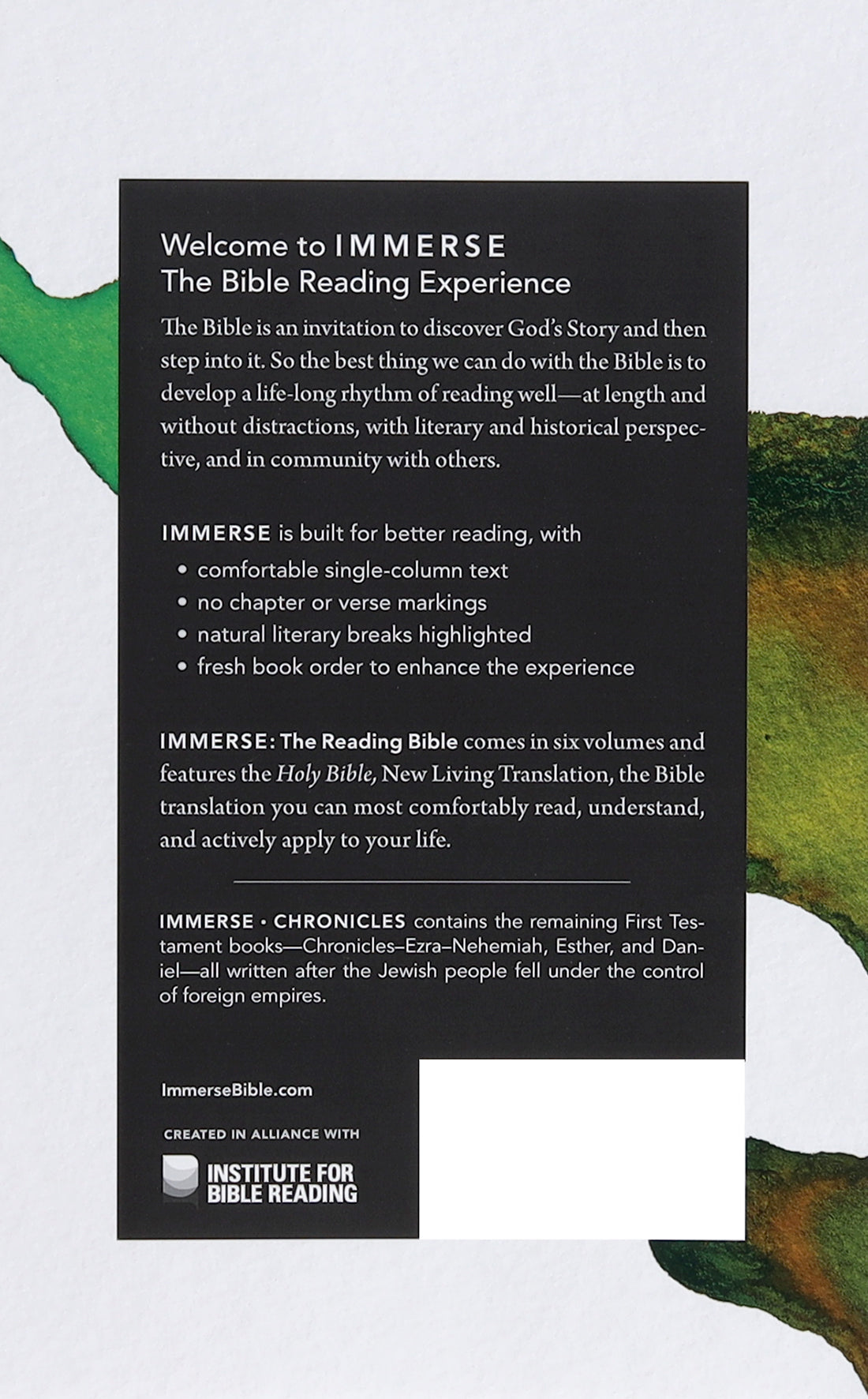 Immerse Chronicles Bible Study Guide by NLT