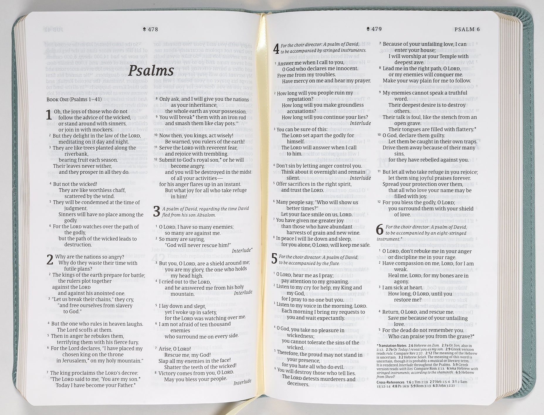 NLT Thinline Reference Bible, Filament Enabled Edition, Sage Dayspring Signature Collection, Red Letter Edition