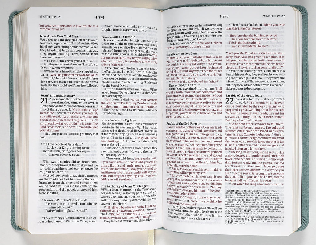 NLT Thinline Reference Bible, Filament Enabled Edition, Sage Dayspring Signature Collection, Red Letter Edition