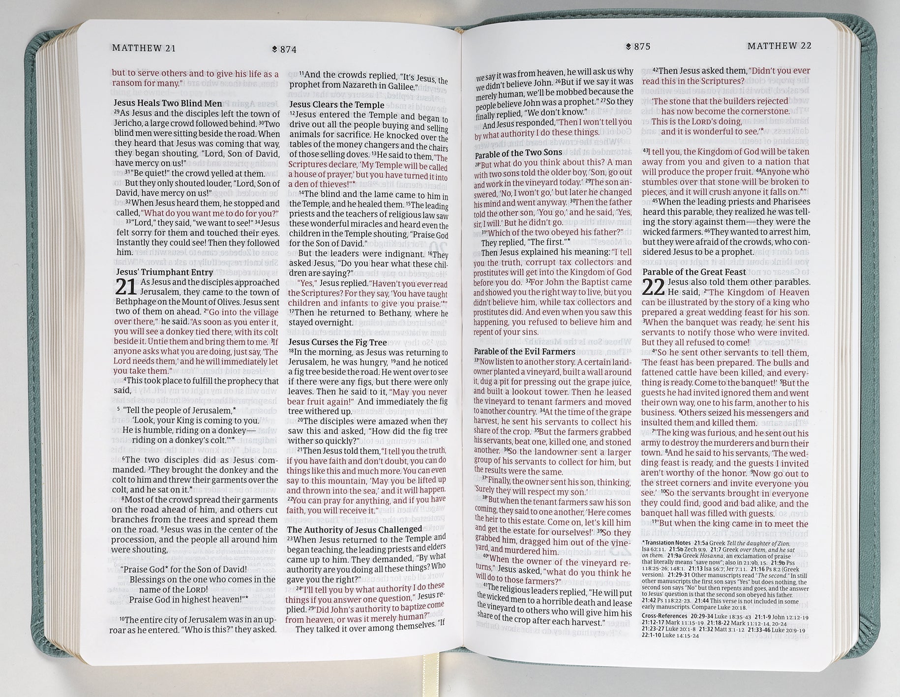 NLT Thinline Reference Bible, Filament Enabled Edition, Sage Dayspring Signature Collection, Red Letter Edition