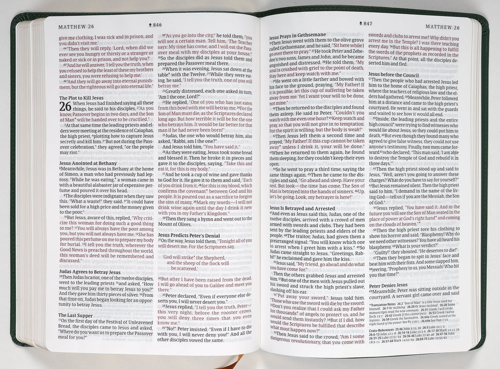 NLT Large Print Thinline Reference Bible Filament Enabled Edition Evergreen Dayspring Signature Collection (Red Letter Edition) (Dayspring Signature Collection)