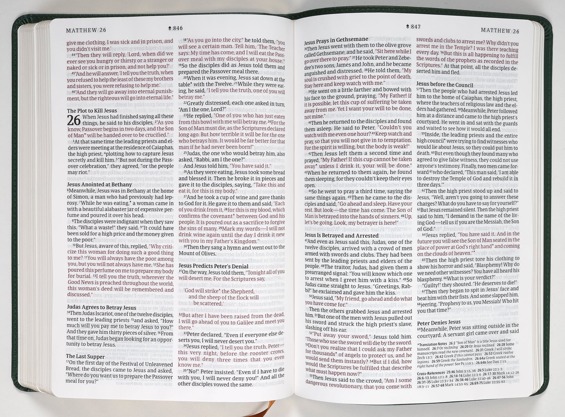 NLT Large Print Thinline Reference Bible Filament Enabled Edition Evergreen Dayspring Signature Collection (Red Letter Edition) (Dayspring Signature Collection)