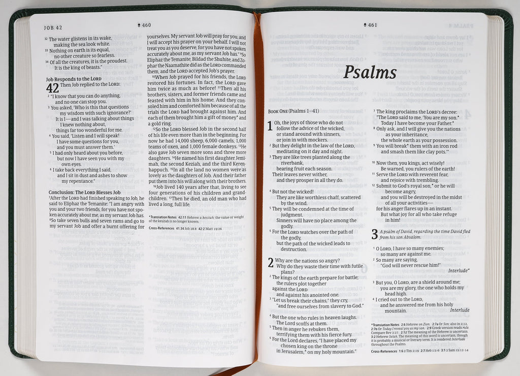 NLT Large Print Thinline Reference Bible Filament Enabled Edition Evergreen Dayspring Signature Collection (Red Letter Edition) (Dayspring Signature Collection)