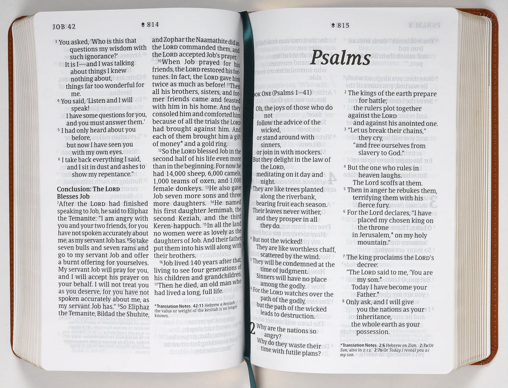 New Living Translation Bible with Giant Print and Filament Enabled Features