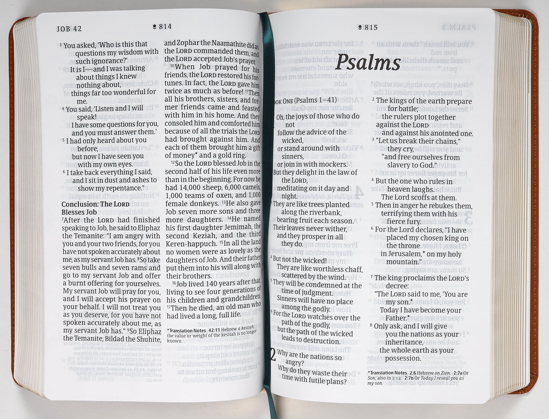 New Living Translation Bible with Giant Print and Filament Enabled Features